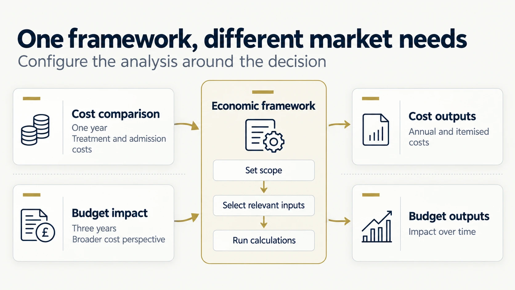Adaptable economic framework: cost comparison and budget impact requirements pass through scope setting, relevant inputs and calculations to produce tailored cost and budget outputs.